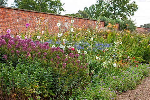 LAMPORT_HALL_NORTHAMPTONSHIRE_BORDER_IN_THE_WALLED_KITCHEN_GARDEN__CUTTING_GARDEN_WITH_AGAPANTHUS_JO