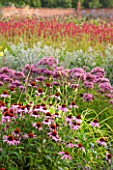 LAMPORT HALL, NORTHAMPTONSHIRE: BORDER IN THE WALLED KITCHEN GARDEN - CUTTING GARDEN WITH ECHINACEA, JOE PYE WEED AND ERYNGIUMS - FLOWERS, AUGUST, SUMMER