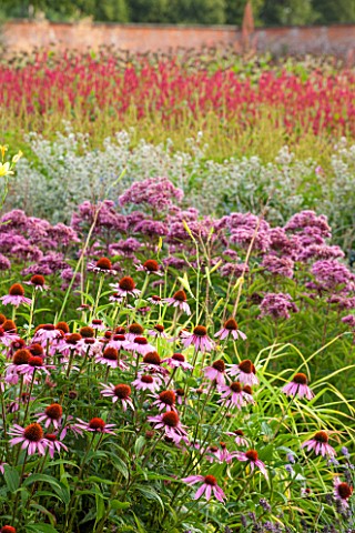 LAMPORT_HALL_NORTHAMPTONSHIRE_BORDER_IN_THE_WALLED_KITCHEN_GARDEN__CUTTING_GARDEN_WITH_ECHINACEA_JOE