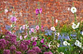 LAMPORT HALL, NORTHAMPTONSHIRE: BORDER IN THE WALLED KITCHEN GARDEN - CUTTING GARDEN WITH HOLLYHOCKS, AGAPANTHUS AND  JOE PYE WEED - FLOWERS, AUGUST, SUMMER