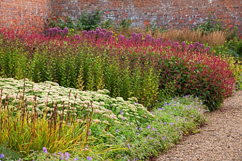 LAMPORT_HALL_NORTHAMPTONSHIRE_BORDER_IN_THE_WALLED_KITCHEN_GARDEN__CUTTING_GARDEN_WITH_SEDUMS_PERSIC