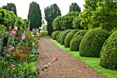 LAMPORT HALL, NORTHAMPTONSHIRE: VIEW ALONG GRAVEL PATH WITH BOX DOMES AND BORDER WITH HOLLYHOCKS. SUMMER, ENGLISH GARDEN, AUGUST, FORMAL, TOPIARY, CLIPPED