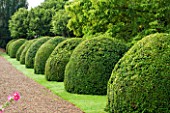 LAMPORT HALL, NORTHAMPTONSHIRE: VIEW ALONG GRAVEL PATH WITH BOX DOMES. SUMMER, ENGLISH GARDEN, AUGUST, FORMAL, TOPIARY, CLIPPED