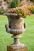 LAMPORT HALL, NORTHAMPTONSHIRE: STONE URN  / CONTAINER ON THE LAWN PLANTED WITH SEMPERVIVUMS - FORMAL, CLASSIC ENGLISH, COUNTRY GARDEN, CONTAINER