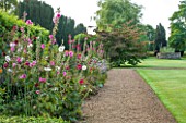 LAMPORT HALL, NORTHAMPTONSHIRE: BORDER BESIDE LAWN WITH HOLLYHOCKS - GRAVEL PATH, CLASSIC, FORMAL, ENGLISH GARDEN, FLOWERS, AUGUST, SUMMER