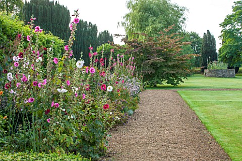 LAMPORT_HALL_NORTHAMPTONSHIRE_BORDER_BESIDE_LAWN_WITH_HOLLYHOCKS__GRAVEL_PATH_CLASSIC_FORMAL_ENGLISH