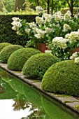 WOLLERTON OLD HALL, SHROPSHIRE: THE RILL GARDEN WITH CANAL, CLIPPED BOX, HYDRANGEAS IN CONTAINERS, STANDARD CARPINUS BETULUS FRANS FONTAINE. SYMMETRY, CLIPPED, TRIMMED, SHAPED