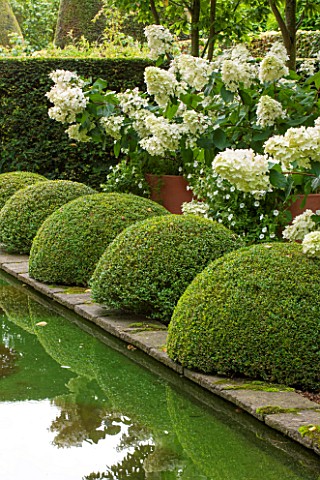 WOLLERTON_OLD_HALL_SHROPSHIRE_THE_RILL_GARDEN_WITH_CANAL_CLIPPED_BOX_HYDRANGEAS_IN_CONTAINERS_STANDA