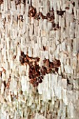 PAINSHILL PARK, SURREY: THE CRYSTAL GROTTO - CLOSE UP OF CRYSTALS ON WALL - CLASSIC, OOLITIC LIMESTONE, STALACTITES, MYSTERY, LANDSCAPE GARDEN, ORNAMENT