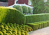 SURREY GARDEN DESIGNED BY ANTHONY PAUL: THE FRONT DRIVE WITH CLIPPED TOPIARY BOX BALLS AND BOX HEDGING. PATTERN, COUNTRY GARDEN, FRONT GARDEN, FORMAL, CLASSIC, HEDGES, EVERGREEN