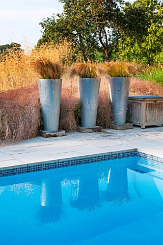 SURREY_GARDEN_DESIGNED_BY_ANTHONY_PAUL_SWIMMING_POOL_WITH_CAREX_FLAGELLIFERA_IN_METAL_CONTAINERS_ON_
