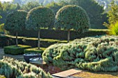 SURREY GARDEN DESIGNED BY ANTHONY PAUL: VIEW ACROSS TERRACE TO COUNTRYSIDE BEYOND WITH PONDS IN CONTAINERS - PORTUGAL LAUREL - COUNTRY GARDEN, SUMMER, CLIPPED, MOPHEAD, PATTERN