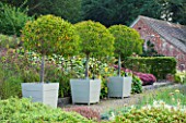 SURREY GARDEN DESIGNED BY ANTHONY PAUL: THREE CLIPPED TOPIARY PORTUGAL LAUREL - PRUNUS LUSITANICA MYRTIFOLIA, AS STANDARDS, IN CONTAINERS -  COUNTRY GARDEN, SUMMER