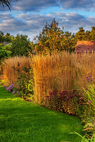 RYE_HALL_FARM_YORKSHIRE__DESIGNER_SARAH_MURCH__COUNTRY_GARDEN_IN_AUTUMN_OCTOBER__LAWN_AND_BORDER_WIT