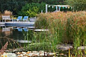 ELLICAR GARDENS, YORKSHIRE - DESIGNER SARAH MURCH - WATER GARDEN - NATURAL SWIMMING POND / POOL - VIEW ACROSS POND TO DECKING AND CHAIRS WITH PERGOLA AND BENCH. CYPERUS LONGUS
