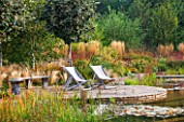 ELLICAR GARDENS, YORKSHIRE - DESIGNER SARAH MURCH - NATURAL SWIMMING POOL / POND IN AUTUMN. OCTOBER - VIEW ACROSS DECKING WITH DECKCHAIRS AND WOODEN BENCH - GRASSES