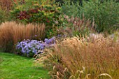 ELLICAR GARDENS, YORKSHIRE - DESIGNER SARAH MURCH - VIEW ALONG PATH WITH CYPERUS LONGUS, ASTER LITTLE CARLOW AND MISCANTHUS KARL FOERSTER - AUTUMN, OCTOBER, COUNTRY GARDEN