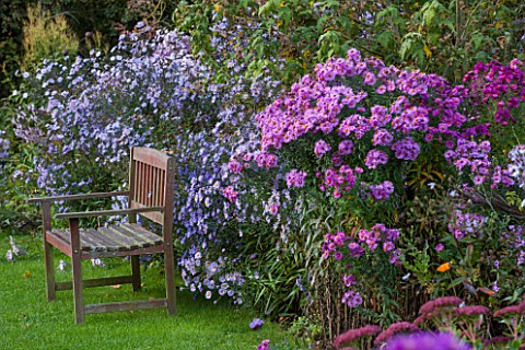 NORWELL_NURSERIES_NOTTINGHAMSHIREWOODEN_BENCH__SEAT__ASTER_NOVAEANGLIAE_NORWELL_HYBRID_AND_ASTER_LAE