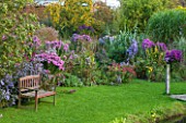 NORWELL NURSERIES, NOTTINGHAMSHIRE:WOODEN BENCH / SEAT - A PLACE TO SIT - SURROUNDED BY PINK AND BLUE ASTERS - MICHAELMAS DAISIES, AUTUMN, OCTOBER, BORDER, COUNTRY GARDEN