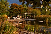 ELLICAR GARDENS, NOTTINGHAMSHIRE: NATURAL SWIMMING POOL / POND - VIEW ACROSS WATER TO DECKING, SEATING AND PERGOLA IN AUTUMN - OCTOBER, RELAXING, SEATS, CHAIRS, ENTERTAINING
