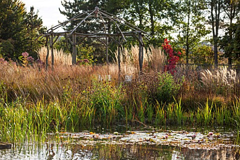 ELLICAR_GARDENS_NOTTINGHAMSHIRE_NATURAL_SWIMMING_POOL__POND__VIEW_ACROSS_WATER_TO_WOODEN_RUSTIC_PERG
