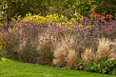 ELLICAR GARDENS, NOTTINGHAMSHIRE: HERBACEOUS BORDER BY LAWN WITH STIPA TENUISSIMA, VERBENA BONARIENSIS AND HELIANTHUS LEMON QUEEN. OCTOBER, AUTUMN, FALL, FLOWERS, COUNTRY GARDEN