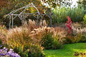 ELLICAR GARDENS, NOTTINGHAMSHIRE: LAWN AND RUSTIC COPPICED ASH AND HAZEL GAZEBO WITH STIPA CALAMAGROSTIS - BACKLIGHT, BACKLIGHTING, AUTUMN, OCTOBER, COUNTRY GARDEN, FALL