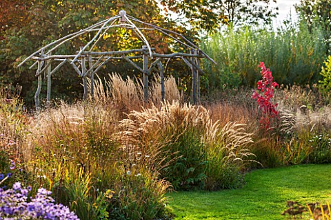 ELLICAR_GARDENS_NOTTINGHAMSHIRE_LAWN_AND_RUSTIC_COPPICED_ASH_AND_HAZEL_GAZEBO_WITH_STIPA_CALAMAGROST