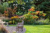 ELLICAR GARDENS, NOTTINGHAMSHIRE: LAWN AND BEACH WITH DECK CHAIR - BORDER WITH RHUS TYPHINA AND RUDBECKIA - AUTUMN, FALL, OCTOBER, COUNTRY GARDEN