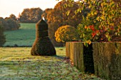 HOLE PARK, KENT: FORMAL GARDEN IN FRONT OF THE HOUSE AT DAWN IN AUTUMN - CLIPPED TOPIARY SHAPE ON LAWN WITH VIEW TO COUNTRYSIDE BEYOND - YEW, DAWN, FORMAL, COUNTRY GARDEN