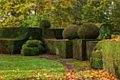 HOLE PARK, KENT: CLIPPED TOPIARY HEDGE, HEDGING, BESIDE LAWN - FORMAL, COUNTRY GARDEN, CLASSIC, FALL, AUTUMN, OCTOBER