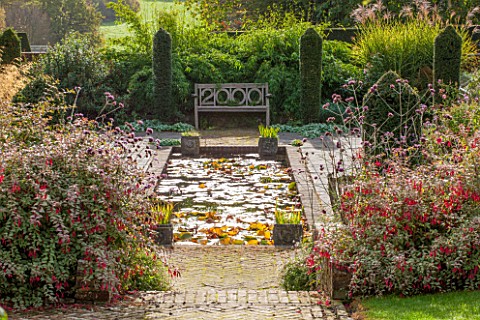 HOLE_PARK_KENT_THE_MILLENIUM_GARDEN__VIEW_ALONG_CANAL__POOL__POND_WITH_WOODEN_BENCH_AND_FUCHSIAS__WA