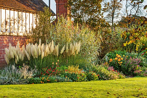 HOLE_PARK_KENT_TROPICAL_EXOTIC_BORDER_BESIDE_HOUSE_WITH_PAMPAS_GRASS__CORTADERIA_PUMILA_ARUNDO_DONAX