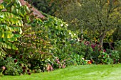 HOLE PARK, KENT: TROPICAL, EXOTIC BORDER BESIDE HOUSE WITH DAHLIAS AND WHITE DATURA - COUNTRY GARDEN, CLASSIC, FALL, AUTUMN, OCTOBER