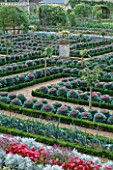 ORNAMENTAL CABBAGES IN THE POTAGER AT THE CHATEAU DE VILLANDRY  FRANCE