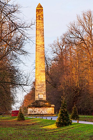 CASTLE_HOWARD_YORKSHIRE_CHRISTMAS__CHRISTMAS_TREES_IN_FRONT_OF_THE_OBELISK_ON_LAWN_WITH_LIGHTS__WINT