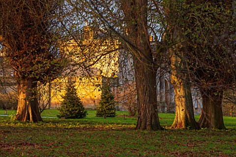 CASTLE_HOWARD_YORKSHIRE_CHRISTMAS__CHRISTMAS_TREE_IN_FRONT_OF_THE_STABLE_BLOCK_ON_LAWN_WITH_LIGHTS__
