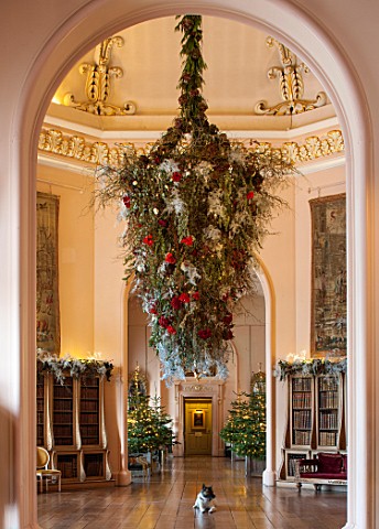 CASTLE_HOWARD_YORKSHIRE_CHRISTMAS__DEE_THE_DOG_SITS_BENEATH_AN_ENORMOUS_HANGING_DECORATION_IN_THE_OC