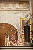 CASTLE HOWARD, YORKSHIRE: CHRISTMAS - DEE THE DOG ON THE CHINA LANDING DECORATED FOR CHRISTMAS WITH A CHRISTMAS TREE - DECORATIVE, ORNAMENT, WINTER, NOVEMBER