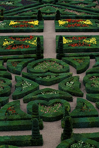 DWARF_DAHLIAS_AND_TOPIARY_SHAPES_IN_THE_GARDEN_OF_LOVE_AT_CHATEAU_DE_VILLANDRY__FRANCE