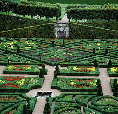 BOX_HEDGES__TOPIARY_SHAPES_AND_DWARF_DAHLIAS_IN_THE_GARDEN_OF_LOVE_AT_THE_CHATEAU_DE_VILLANDRY__FRAN