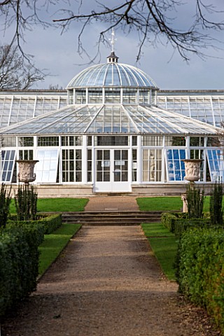 CHISWICK_HOUSE_CAMELLIA_SHOW__COLLECTION_CHISWICK_HOUSE_AND_GARDENS_LONDON_FRONT_OF_THE_CONSERVATORY
