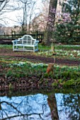 RODE HALL AND GARDENS, CHESHIRE: BLUE WOODEN BENCH / SEAT IN WOODLAND - SNOWDROPS, CHERRY IN BLOSSOM - PRUNUS BLIREANA. ORNAMENTAL PLUM, FEBRUARY, COUNTRY GARDEN. STEW POND