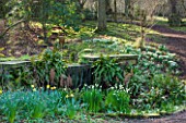 RODE HALL AND GARDENS, CHESHIRE: THE WOODLAND WITH SNOWDROPS AND STEW POND IN WOODLAND WITH WILLOW HERON SCULPTURE. COUNTRY GARDEN, FEBRUARY, WATER, POOL, WATERFALL