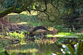 RODE HALL AND GARDENS, CHESHIRE: STEW POND IN WOODLAND WITH WILLOW FISH SCULPTURE. COUNTRY GARDEN, FEBRUARY, WATER, POOL