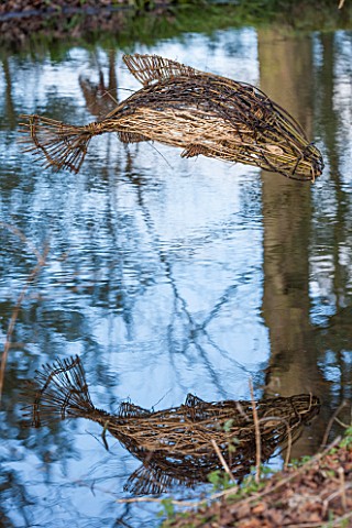 RODE_HALL_AND_GARDENS_CHESHIRE_STEW_POND_IN_WOODLAND_WITH_WILLOW_FISH_SCULPTURE_COUNTRY_GARDEN_FEBRU