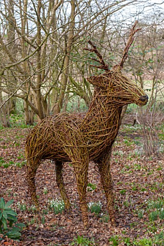 RODE_HALL_AND_GARDENS_CHESHIRE_WICKER_DEER_SCULPTURE_BY_REDSTONE_WILLOWS_IN_THE_WOODLAND_ORNAMENT