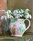 RODE HALL AND GARDENS, CHESHIRE: SNOWDROPS IN A SNOWDROP VASE. STILL LIFE, GALANTHUS, BULBS, CONTAINER, POT, JUG