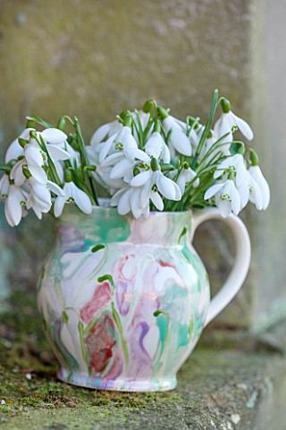 RODE_HALL_AND_GARDENS_CHESHIRE_SNOWDROPS_IN_A_SNOWDROP_VASE_STILL_LIFE_GALANTHUS_BULBS_CONTAINER_POT