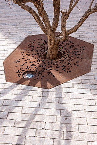 MUCEM_MARSEILLES_FRANCE_THE_JARDIN_DE_MIGRATIONS_FORT_SAINT__JEAN_TREE_WITH_RUSTY_METAL_PROTECTION_A